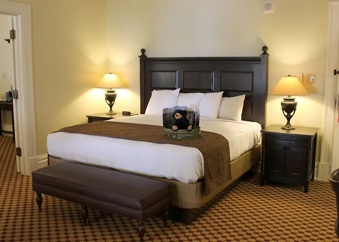 Yellowstone & - Inside The Park Hotel